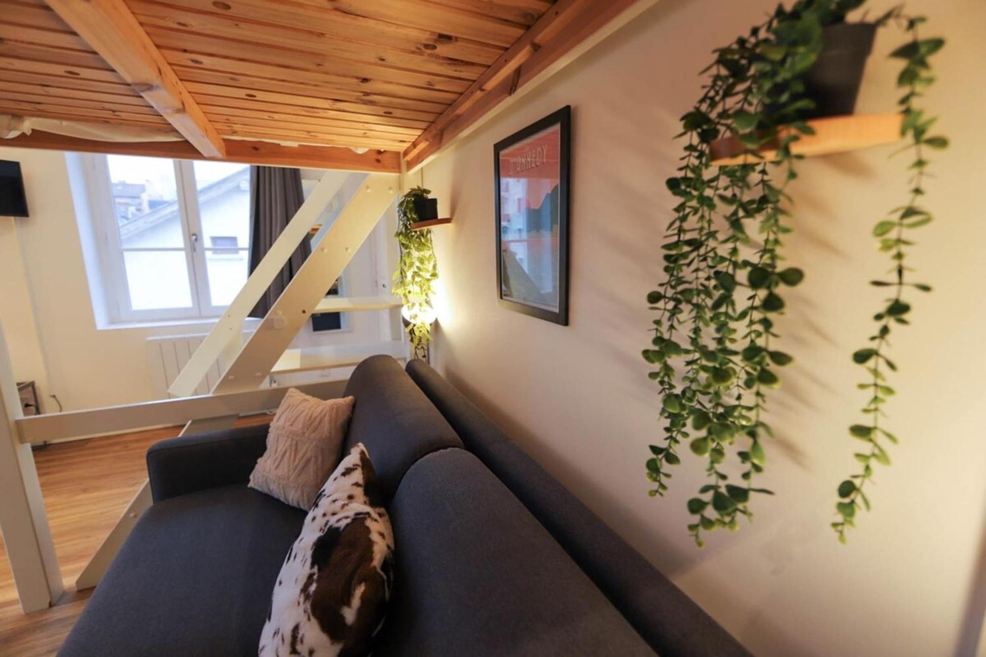 Le Petit Plus - Studio Confortable Avec Parking Apartment Анси Екстериор снимка